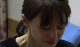 圈内爆料郑爽张恒,圈内爆料揭示背后真相